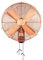 Fans Ventilatore oscillante vintage, europea ventilatore da parete in metallo,ventilatori industriale,silenzioso e risparmio energetico, 16in (40 cm), rame rosso