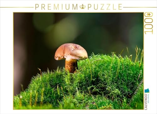 CALVENDO Puzzle Gallenröhrling (Tylopilus felleus) | 1000 Teile Lege-Größe 64 x 48 cm Foto-Puzzle für glückliche Stunden