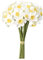LouisaYork Künstliche weiße Narzissen-Blumen, künstliche Narzissen, 12 Stück, 39 cm, Narzissen-Frühlingsblumen, künstliche Seidenblumen, Arrangement für Zuhause, Hochzeitsdekoration
