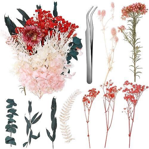 Fleurs Séchées, Fleurs Sechees Naturelles Vraies Fleurs Pressées Séchées Decoration pour Scrapbooking Bougie Bricolage Résine Époxy Floral Fabrication Artisanale (Rouge)