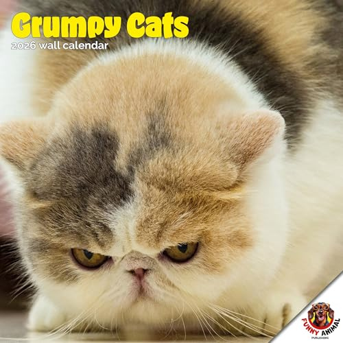 Dayplanner Publishing Grumpy Cats Calendar 2027, Large | Large square 16-month wall calendar, ideal as a Grumpy Cats gift.