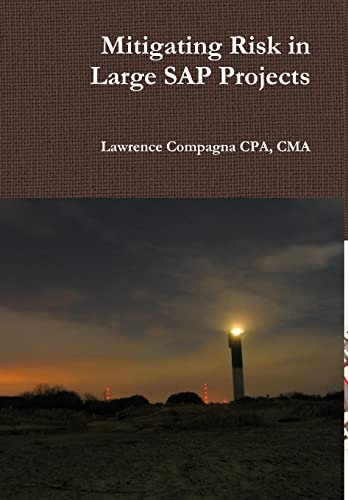 Mitigating Risk in Large SAP Projects