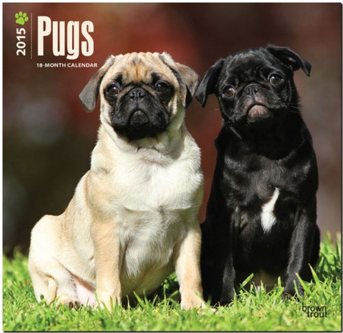 Pugs 2015 - Möpse: Original BrownTrout-Kalender [Mehrsprachig] [Kalender] (Wall-Kalender)