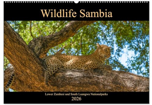 Wildlife Sambia (Wandkalender 2026 DIN A2 quer), CALVENDO Monatskalender: Sambia mit seinen wunderschönen und tierreichen Nationalparks - ein Land für Natur- und Tierliebhaber. (CALVENDO Tiere)