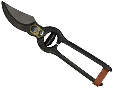 Due Buoi 6977023 Forbici per Vigna Art. 125/S, Acciaio