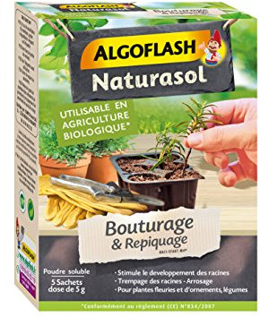 ALGOFLASH NATURASOL Poudre pour Bouturage & Repiquage, Utilisable toute l'année, 5 x 5 g, BIOBOU5A