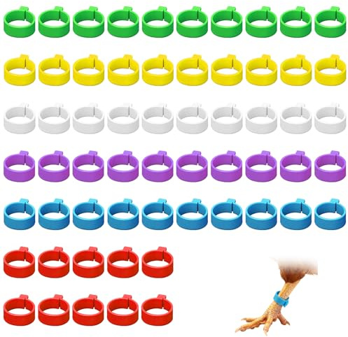 EUYKQNOI 60 Stück Hühnerringe 16mm, Bunt Hühner Ringe, Geflügel Fußringe, Poultry Beinringe Geflügelringe, Chicken Leg Bands Vogelringe Fußringe Wachteln für Küken, Enten, Gänse Und Anderes Geflügel