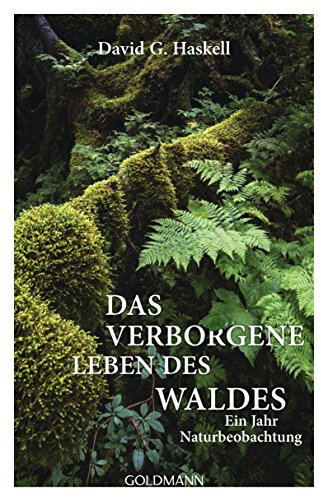 Das verborgene Leben des Waldes: Ein Jahr Naturbeobachtung