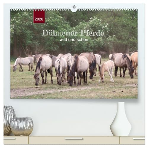 Dülmener Pferde, wild und schön (hochwertiger Premium Wandkalender 2026 DIN A2 quer), Kunstdruck in Hochglanz: Die LETZTEN ihrer Art in Europa ... (CALVENDO Tiere)