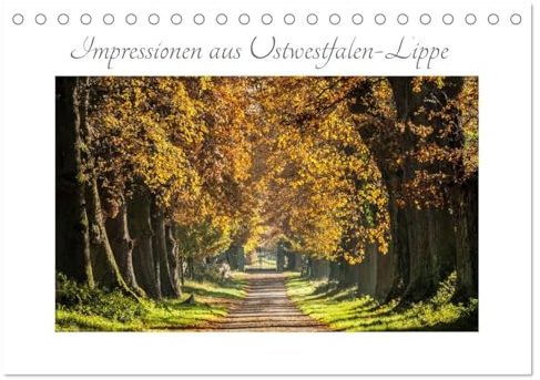 Impressionen aus Ostwestfalen-Lippe (Tischkalender 2026 DIN A5 quer), CALVENDO Monatskalender: Stimmungsvolle Landschaftsfotografie aus dem Lipperland und Ostwestfalen (CALVENDO Natur)