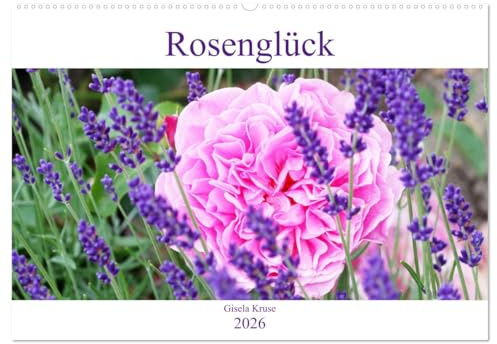 Rosenglück (Wandkalender 2026 DIN A2 quer), CALVENDO Monatskalender: Rosen schenken Glücksgefühle (CALVENDO Natur)