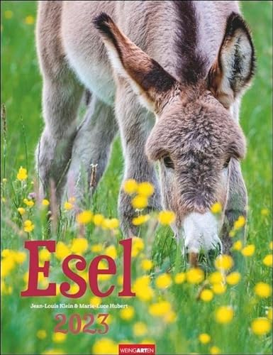 Esel-Kalender 2023. Jahres-Wandkalender 2023 mit Fotos von Jean-Louis Klein und Marie-Luce Hubert. Tierkalender mit süßen Eselfotos. Planer mit Platz zum Eintragen. Hochformat 30x39 cm