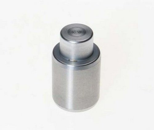 TRISCAN 8170 233003 Kolben, Bremssattel