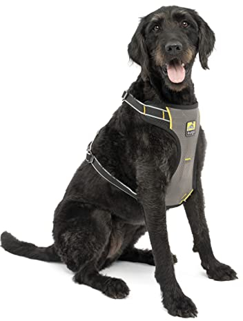 Kurgo Impact Hunde-Autogeschirr, Crashtest-geprüft für mehr Sicherheit, Für Hunde von 23-34 kg geeignet, Größe L, Schwarz