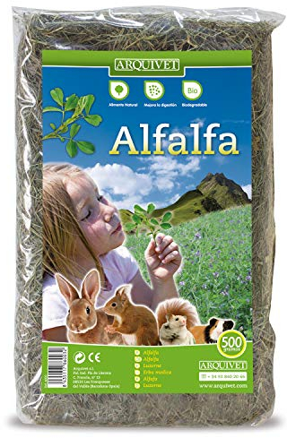 ARQUIVET Alfalfa para roedores 500 gr - Comida para Conejos, cobayas, Hamsters, Chinchillas - Alimentación Natural - Forraje para pequeños mamiferos - Alimento nutritivo Rico en vitaminas y minerales