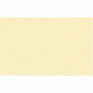 Ludwig Bähr 10 x Tonpapier 130g/qm 50x70cm Chamois