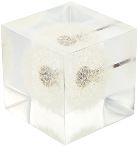 VOSAREA Kristallglaswürfel des Löwenzahns 3D Transparente Tischplattenstatuenverzierung für Geburtstagshochzeits-Valentinsgruß -Ausgangsdekor