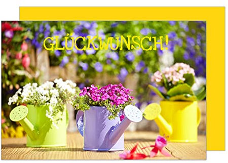 Edition Seidel Premium Allgemeine Glückwunschkarte mit Umschlag. Geburtstagskarte Grusskarte Billet Happy Birthday Glückwunsch Mann Frau Sprüche bunte Gießkannen Blumenstrauß (G2071 SW023)