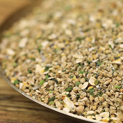 ChickenGold Zwerghuhn-Küken Premium (2,5kg)