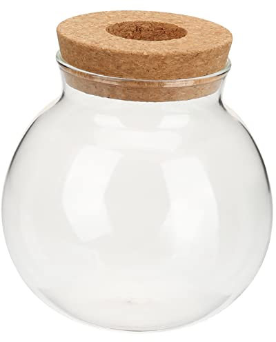Milisten Bouteille en verre hydroponique Monstera - Pot de fleurs pour plantes hydroponiques - Vase hydroponique pour plantes hydroponiques - Vase de table - Vase de poisson Marry Me Special -