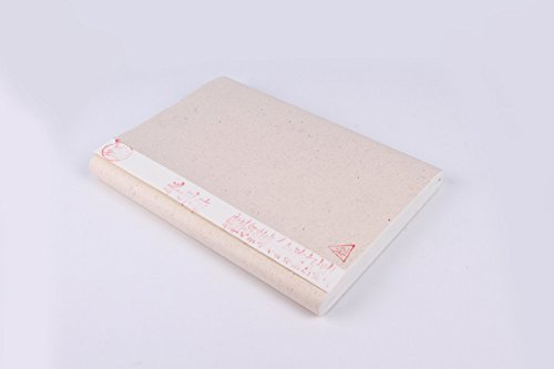 Lot de 100 feuilles de papier de riz semi-traité (Xuan) pour calligraphie et peinture chinoise japonaise 34 x 70 cm