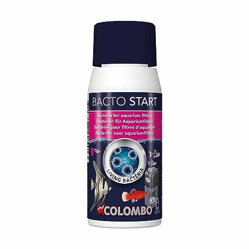 Superfish Bacto Start 100 ml
