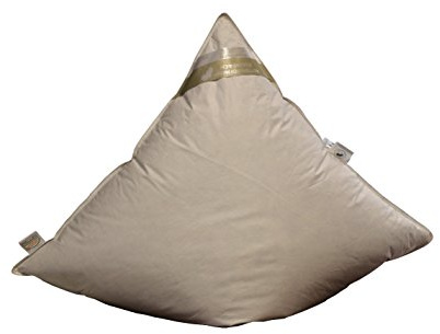 Betten Hofmann Ideal Daunen-Federn-Kopfkissen Kissen Polster 80x80 cm, 60% Daunenanteil, 950 g Füllung, prall gefüllt, Wohlfühlkissen, Naturprodukt,