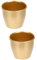 Zerodeko 2 Mini Macetas De Metal para Plantas De Interior Decoración Rústica para Escritorio.