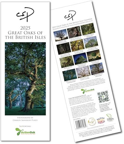 The Tree Calendar 2025. Great Oaks of the British Isles by Charles Sainsbury-Plaice. 12 Stunning Ancient Oak Photographs