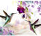 decomonkey Fototapete Blumen Vogel 400x280 cm XL Design Tapete Fototapeten Vlies Tapeten Vliestapete Wandtapete moderne Wandbild Wand Schlafzimmer Wohnzimmer Kolibri bunt