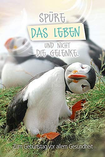 KE - Lustige Geburtstagskarte Set, Pinguin Motiv, DIN B6 Klappkarte, Inklusive Umschlag, Glückwunschkarte mit Spruch, 176 x 125 mm