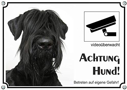 Petsigns Hundeschild Riesenschnauzer - Metallschild mit Videoüberwachung, DIN A5