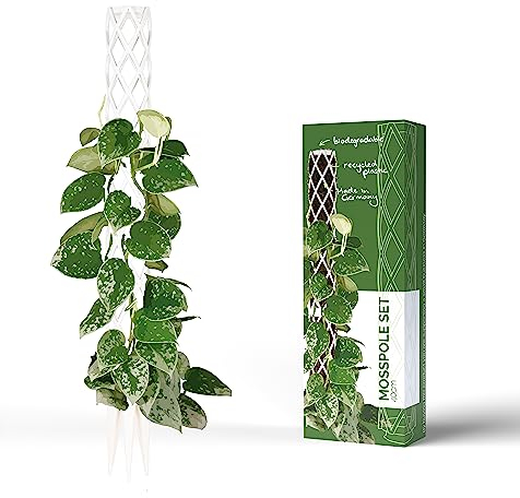 PlantMe Supporto per piante rampicanti, Monstera, asta muschiata, supporto per piante, supporto per piante da appartamento (40 cm, colore: bianco)