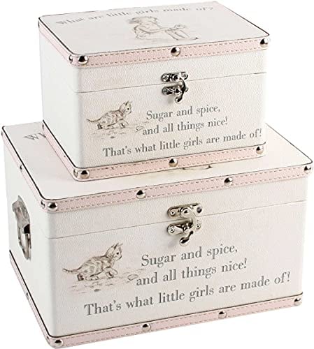 Online Garden Centre Luggage series - Set of 2 Baby Storage Boxes - Little Girls