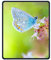 Mouse Pad Blue Butterfly Customized Rectangle Non-Slip Rubber Keyboard Mousemat Gaming Mouse Pad