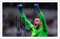 500 Teile Puzzle Hugo LLORIS Tottenham Hotspur Geschenk Holz Puzzle Erwachsene Stress Freisetzung Spiel 500 Piece 20.4x15inch(52x38cm)