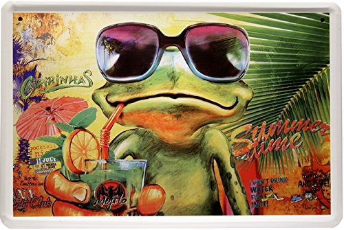 WOGEKA ART Retro Blechschild Cocktail Frosch Frog Alkohol witziger Spruch als Geschenk-Idee zum Geburtstag Weihnachten zur Dekoration 20x30 cm Vintage-Design aus Metall 1276