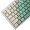 Cherry Profile Green Gradient Dye Sub-Tastenkappen PBT Tastenkappen für TKL 61 64 68 75 87 96 104 108 Keychron MX Tastatur