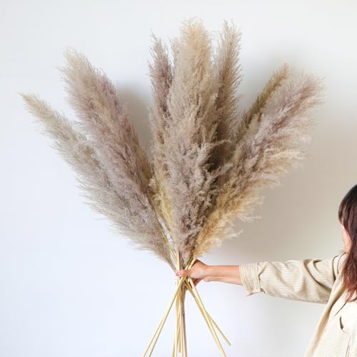 YiYa 12Pcs Grande Herbes de Pampas Naturelles 114cm Pampa XXL Séchées Naturelles Fleur Pampa Séchées pour Boho Decoration Mariage, Salon, Chambre À Coucher(Grises)