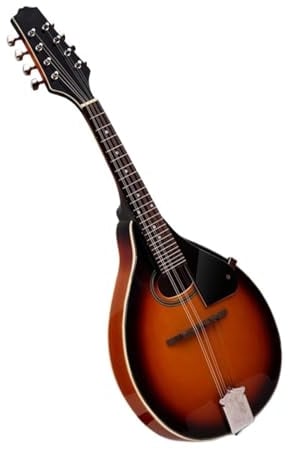 Erwachsene Mandoline-Instrument Mandoline Anfänger Anfänger Fortgeschrittene Folkinstrument Mandoline