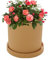 Fioriera in ceramica con drenaggio, fioriera cilindrica in ceramica | Elegante fioriera per piante grasse da giardino, cucina, vaso per piante grasse