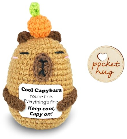 Ben & Bel Cool Capybara Gift with Wooden Pocket Hug Mail Box, Handmade Crochet Capybara Keepsake, Keep Calm Encouragement Gift for Friends, Students and Colleagues, Birthday, Exams and Graduation