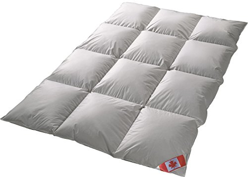 Canada extra warm Winter 8-cm Hochsteg Daunen Kassettenstegbett Daunenbett Canada 100% Daune 100% Natur Daunendecke 200x200 cm direkt vom Bettenfachgeschäft