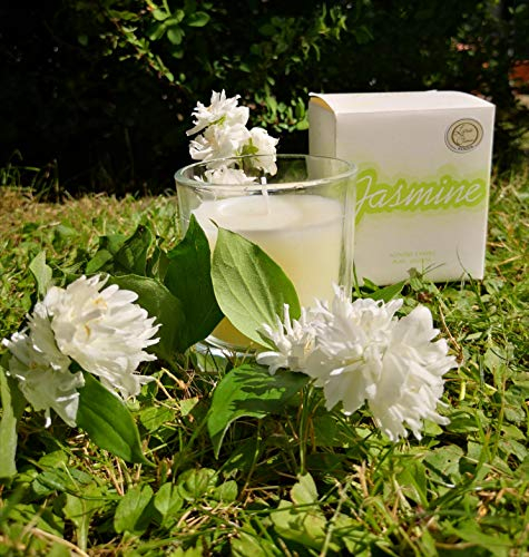 HGD Jazmín-Vaso votivo (tamaño pequeño), Cera, Blanco, Klein