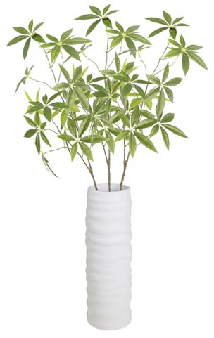 3 Stück Geldbaum, Feng Shui Geldbaum Pachira Aquatica Pflanze, Altman-Pflanzen, Geldbaumpflanze, Einfach zu Züchtende Zimmerpflanze, Geschenk, Heimdekoration