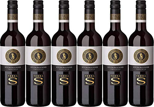 Felsengartenkellerei Besigheim TERRA S Spätburgunder 2022 Trocken (6 x 0.75 l)
