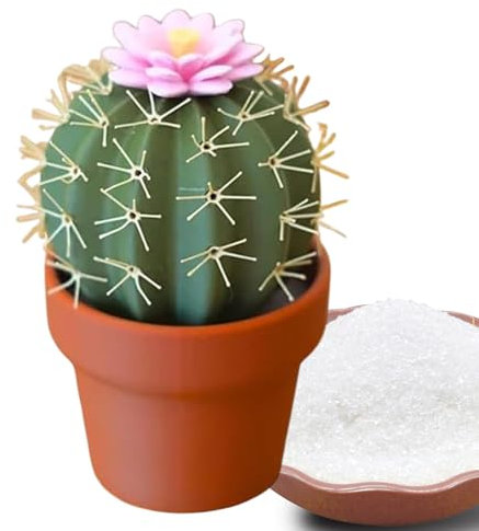 Salero y Pimentero Cactus, Tarros de Especias Cactus, Juego de Salero y Pimentero, Plantas Impresas en 3D Recipiente Dispensador de Sal y Pimienta a Prueba de Fugas para Cocina