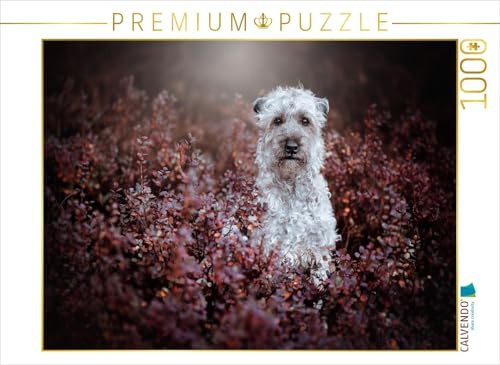 Puzzle · Irish Soft Coated Wheaten Terrier | Verloren im Herbsttraum · Zartheit, die verzaubert · 1000 Teile · Lege-Größe 64 × 48 cm · CALVENDO Puzzle