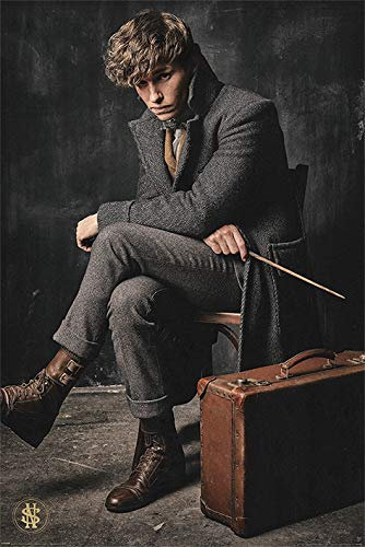 Poster, Motiv: Fantastic Beasts – The Crimes of Grindelwald (Newt Scamander) – 61 x 91,5 cm
