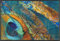 wash+dry Exotic Pavo Fußmatte, Polyamid, Mehrfarbig, 50x75cm